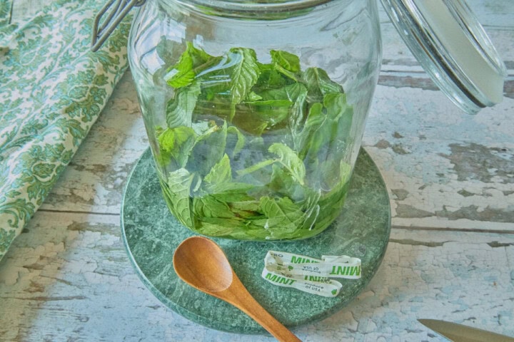 a large jar of grocery store mint leaves and vodka on a stone tray with a wooden spoon and a twist tie from the mint, and a napkin and paring knife