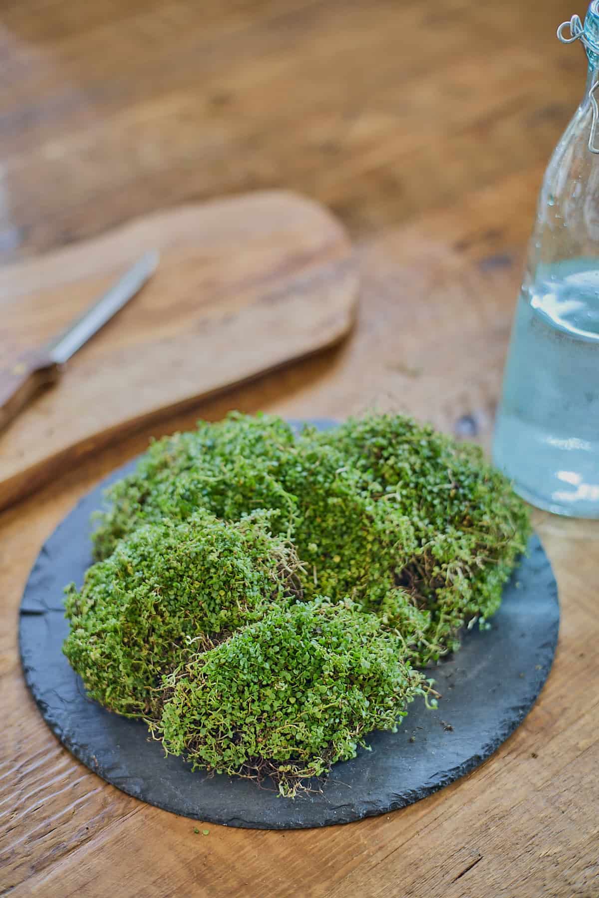 corsican mint leaves on a round stone tray with a knife on a wooden board and a bottle of vodka in the background