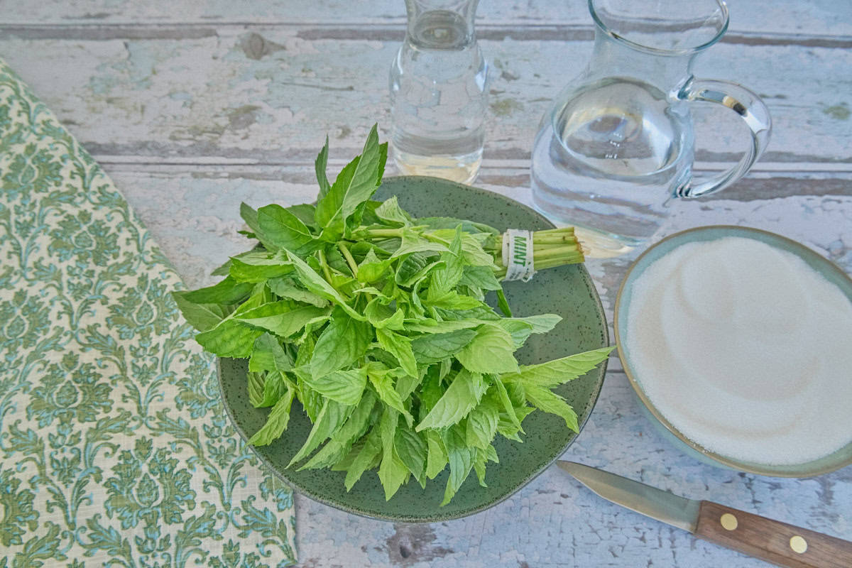 a pitcher of water, bottle of vodka, bowl of sugar, paring knife, bowl with fresh grocery store mint, and a napkin