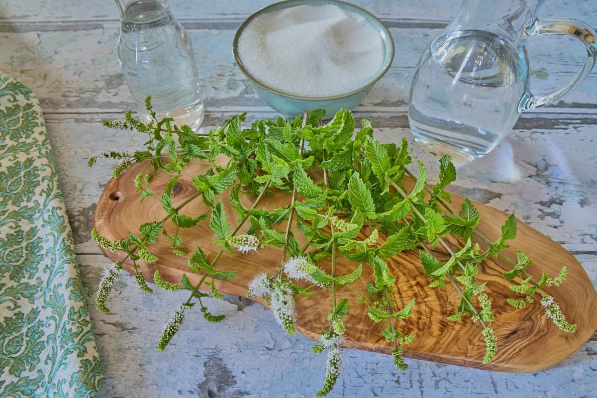 a pitcher of water, bottle of vodka, bowl of sugar, sprigs of kentucky colonel mint on a wooden board and a napkin