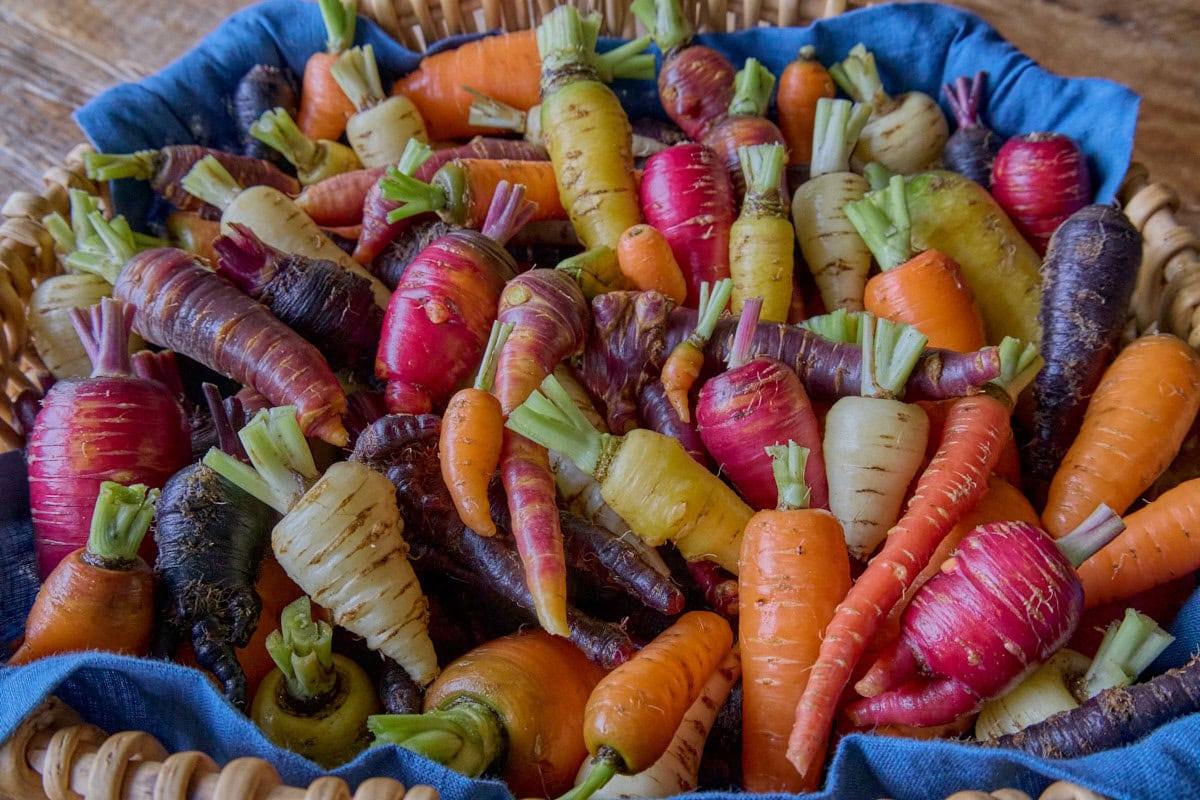 carrots in a variety of colors piled into a napkin-lined basket