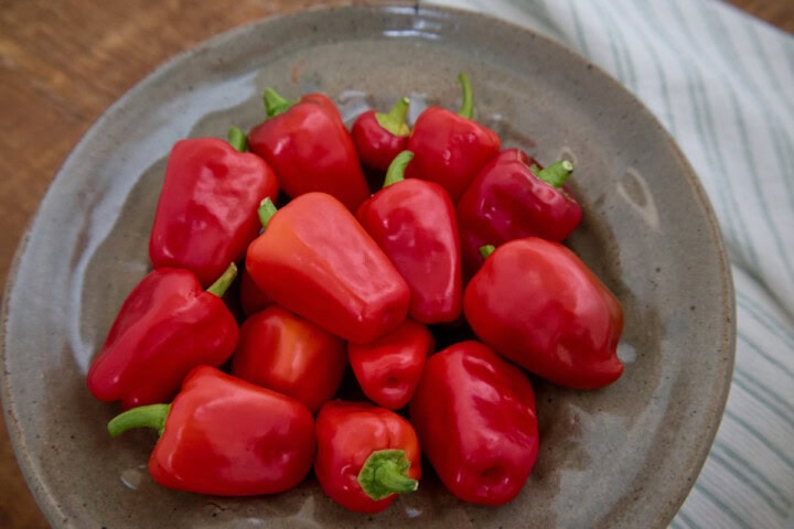 fresh aleppo peppers in a bowl with a kitchen towel alongside