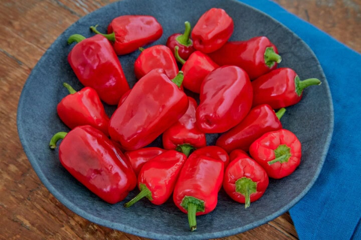 aleppo peppers in a bowl with a napkin on the side
