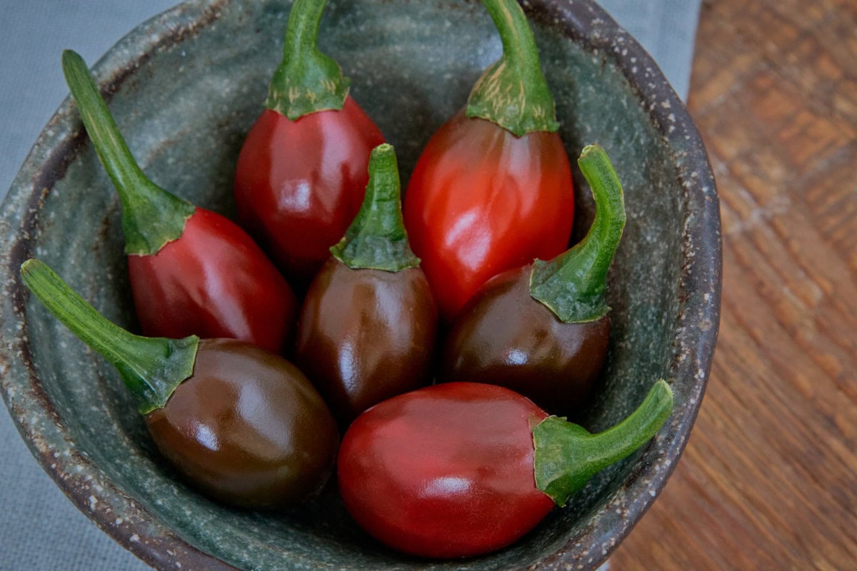 fresh catarina peppers in a bowl atop a napkin