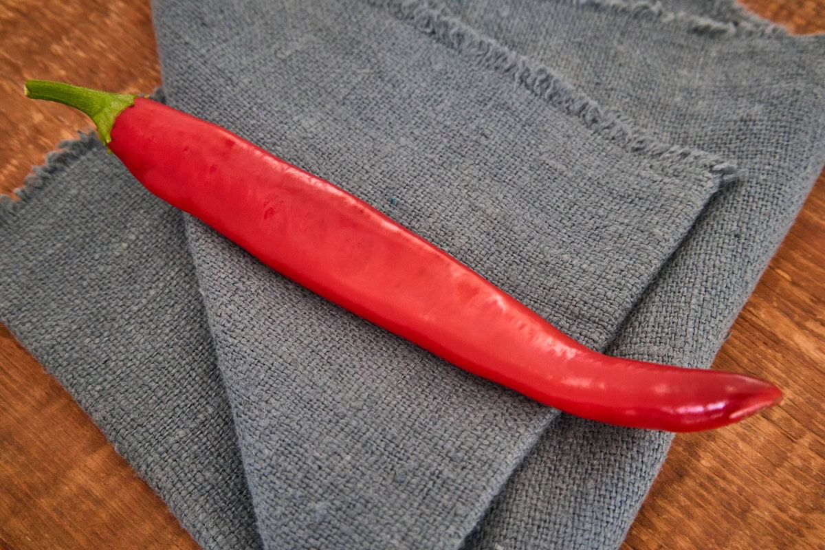 a fresh guajillo pepper directly atop a napkin