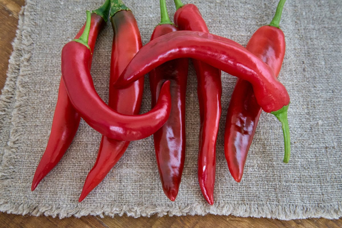 fresh guajillo peppers sitting directly atop a napkin