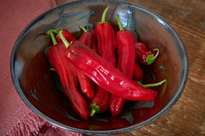 fresh pasilla bajio chilaca peppers in a bowl with a napkin in the background