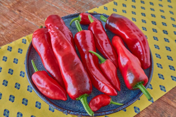 fresh piment d'espelette peppers on a plate, atop a napkin