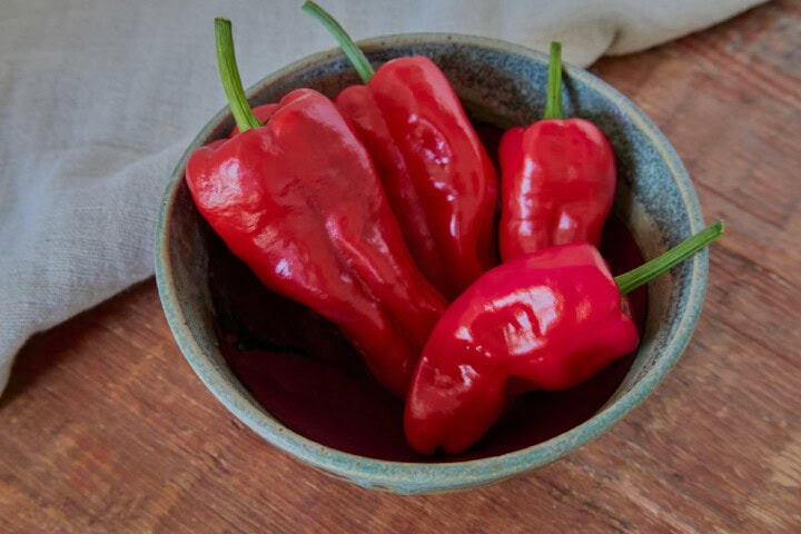fresh padron peppers in a bowl with a napkin in the background