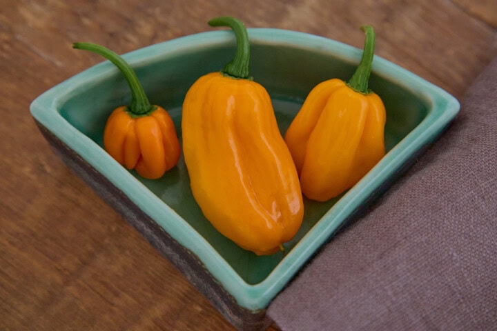 fresh scotch bonnet peppers in a wedge-shaped bowl with a napkin alongside