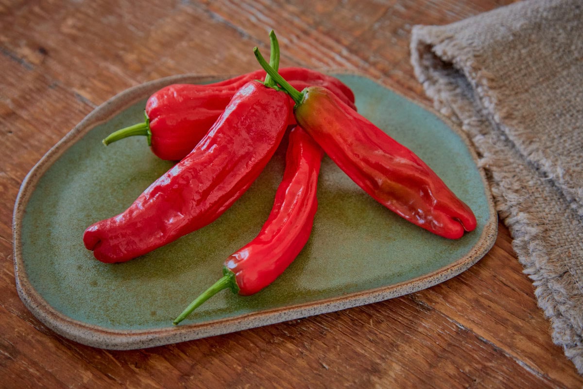 fresh shisito peppers on a plate with a napkin alongside