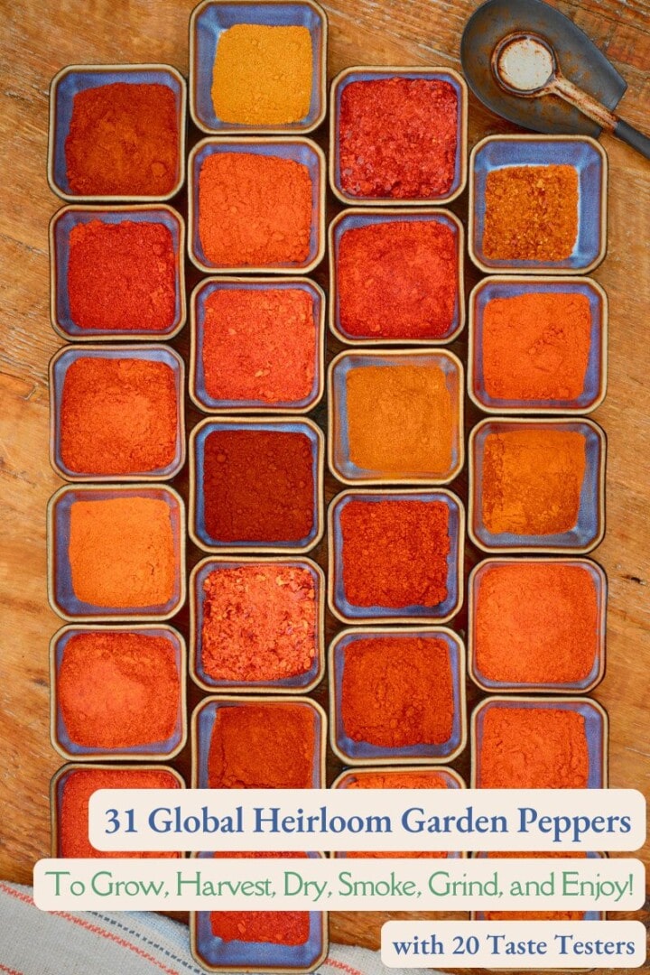 a variety of heirloom pepper powders in small bowls on a rustic wooden table with a kitchen towel in the foreground and a labeled title on the photo