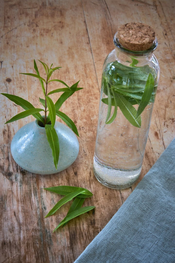 fresh lemon verbena leaves in a small vase, in a small jar with vodka, and a few on a table with a napkin alongside