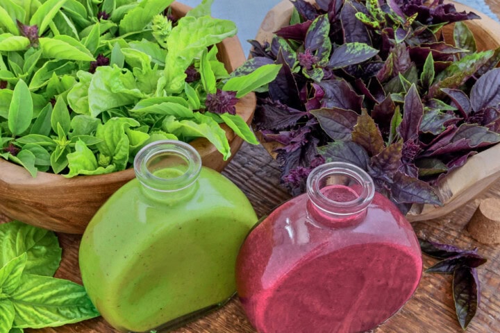 green and purple basil vinaigrette in small bottles, leaves of basil in bowls, and a napkin