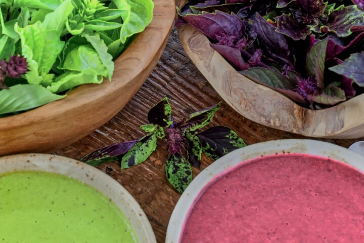bowls of green and purple basil vinaigrette, a spoon, a sprig of basil on the table, and more basil in bowls