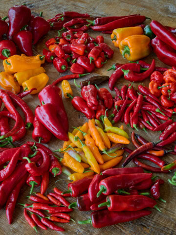 a variety of fresh peppers on a table