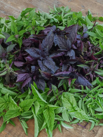 basil leaves on a table arranged by color in concentric rings