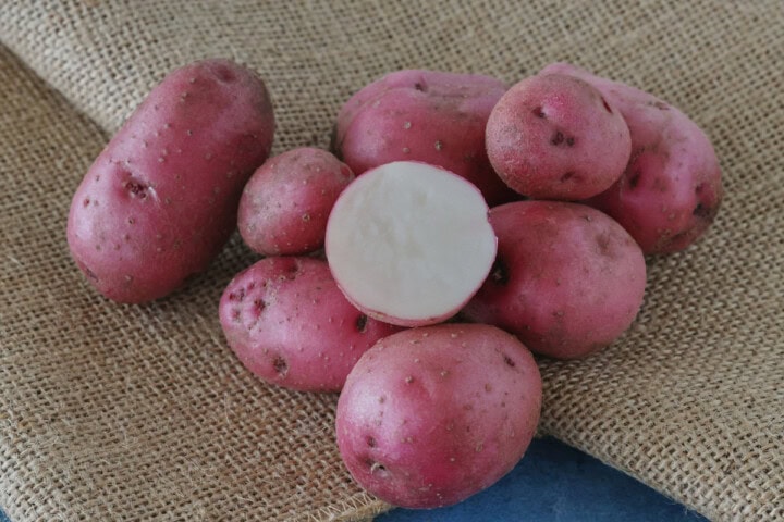 all-red pre-nuclear potatoes on burlap on a background