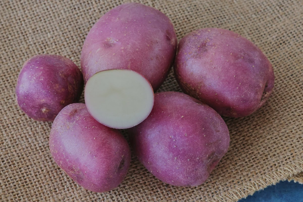 caribe potatoes on burlap on a background
