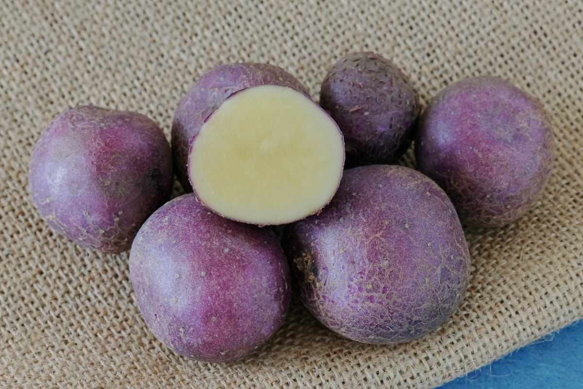 huckleberry gold potatoes on burlap on a background