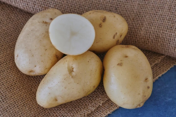 kennebec potatoes on burlap on a background
