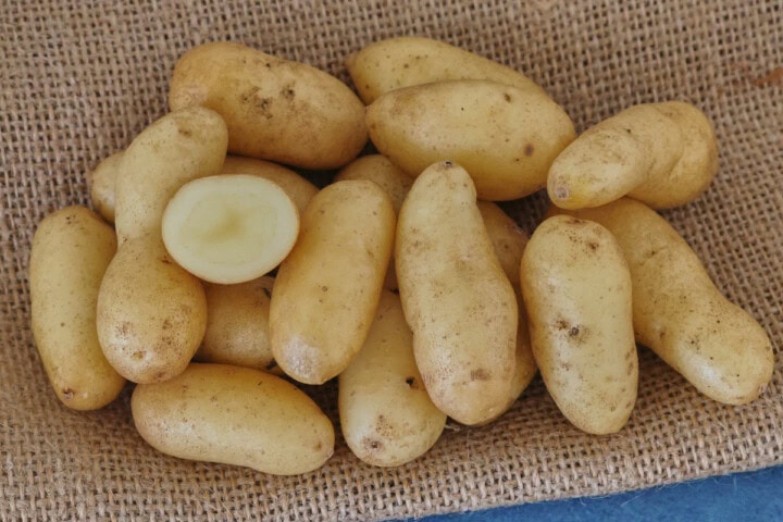 la ratte potatoes on burlap on a background