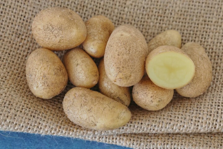 peanut pre-nuclear potatoes on burlap on a background