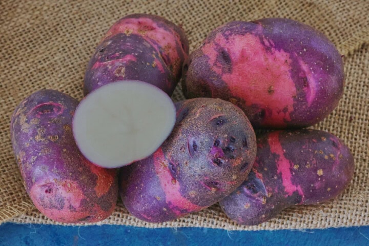 purple viking potatoes on burlap on a background