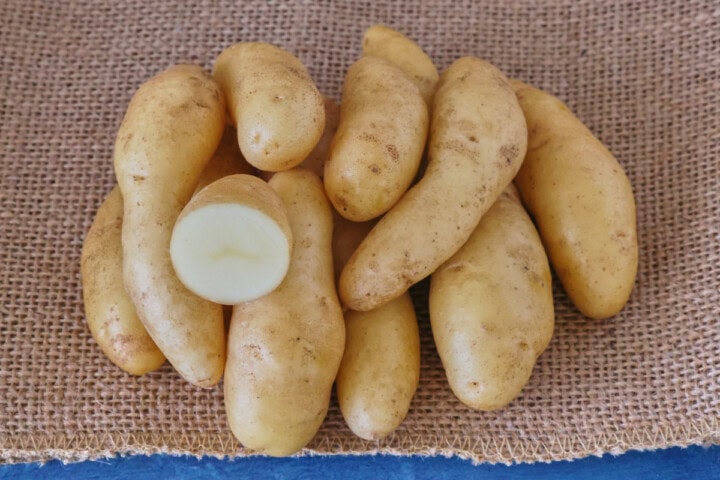 russian banana potatoes on burlap on a background