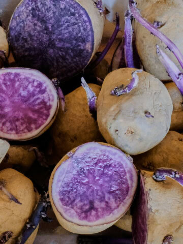 sprouted all blue seed potatoes