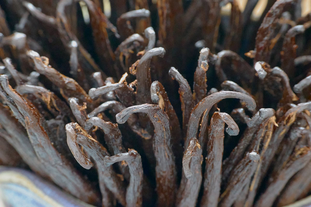 a closeup of vanilla beans in a bowl
