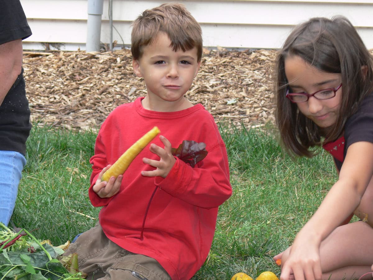 a boy eating a freshly-picked carrot outside on the grass, next to a girl tending her harvest