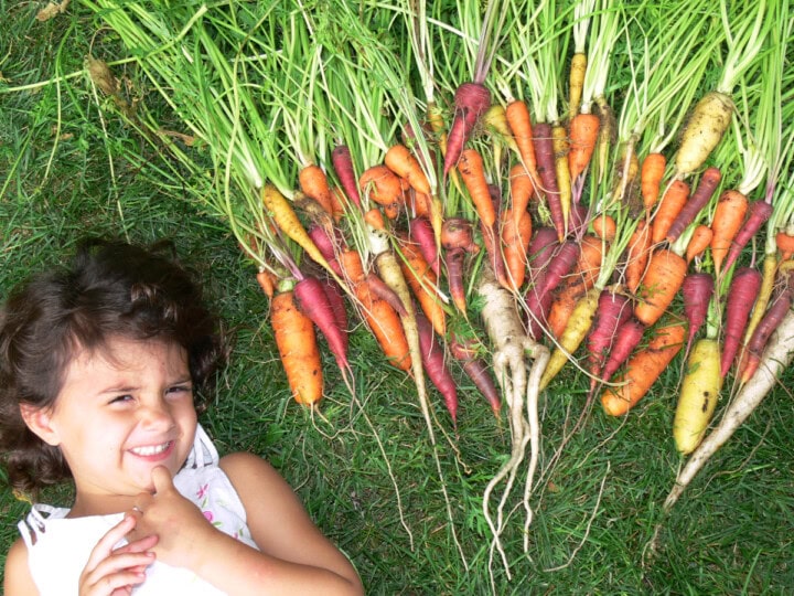 a young girl lying down on the grass next to a large arrangement of freshly-harvested multicolored carrots