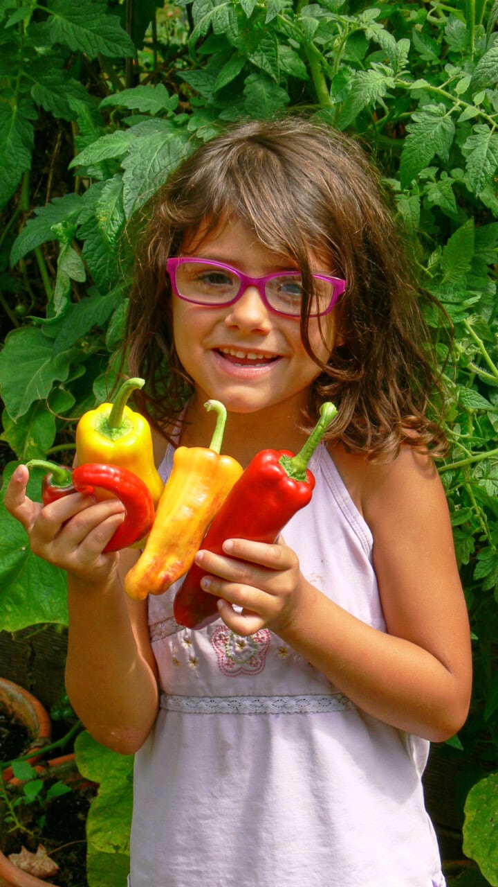 a young girl standing in front of a garden holding freshly-picked peppers