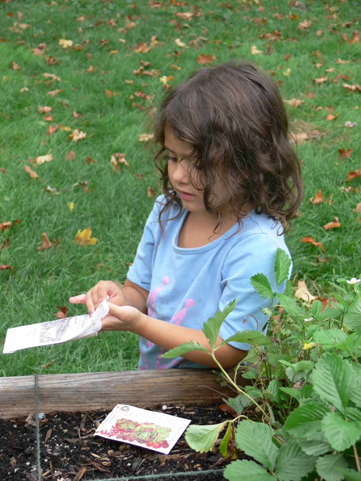 a young girl planting seeds in a raised bed garden