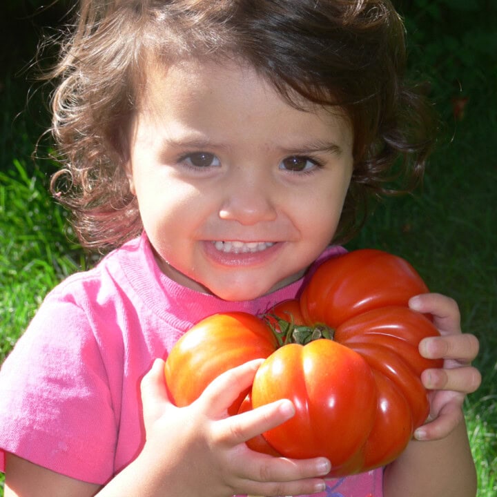 a young girl standing outside holding a huge heirloom tomato