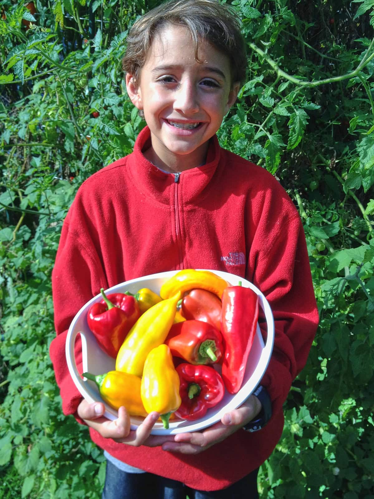 a boy in front of a garden holding a bowl of freshly-picked peppers
