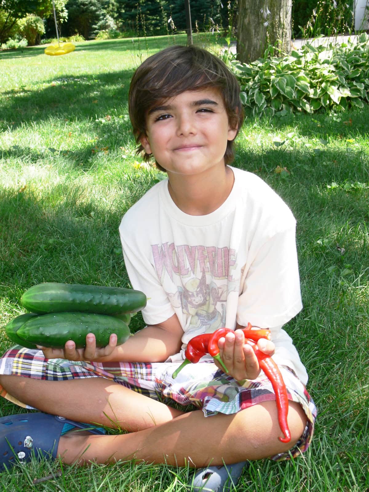 a boy sitting in the grass, holding freshly-picked cucumbers and peppers