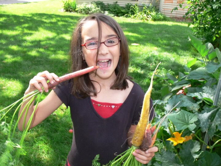 a girl beside a garden holding and eating freshly-harvested carrots