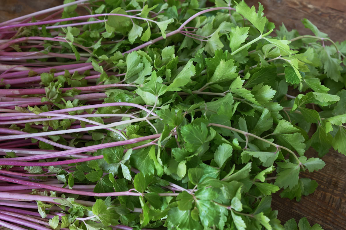 freshly-harvested chinese pink celery stalks and leaves on a rustic table