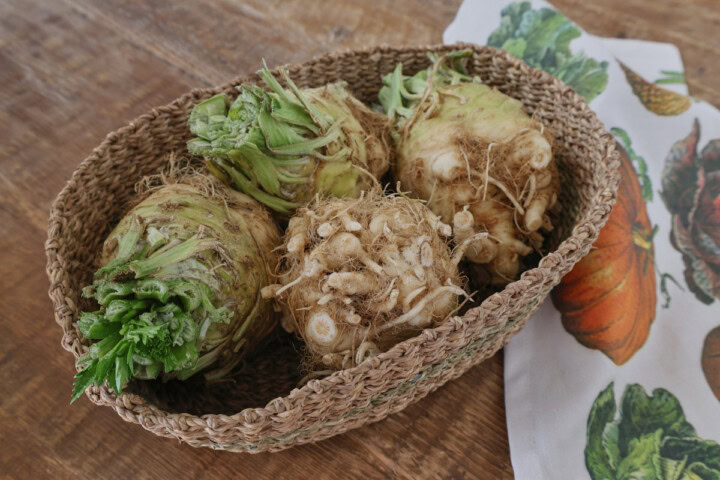 freshly-harvested giant prague celeriac roots in a basket with a kitchen towel alongside