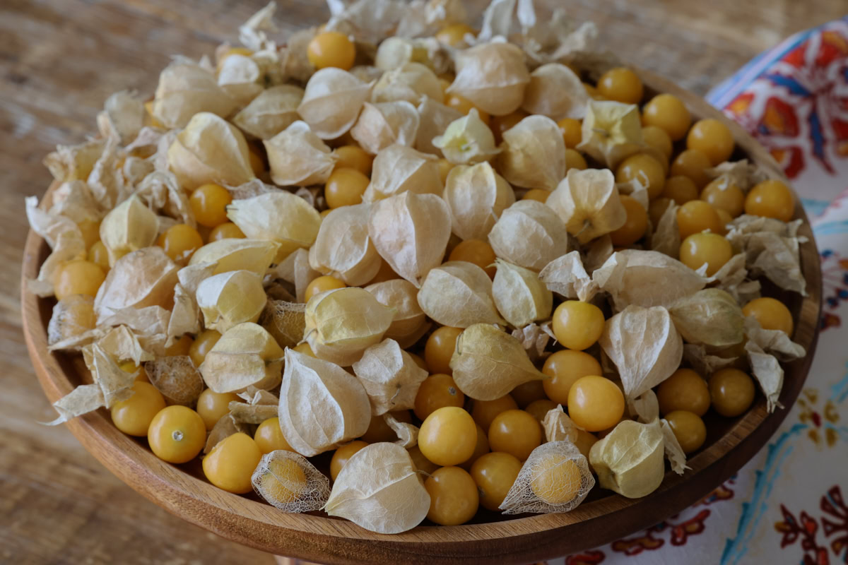freshly-harvested ground cherries in a wooden bowl with a kitchen towel alongside