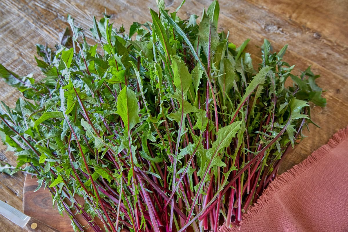 freshly picked Italiko Rosso dandelion stalks and leaves on a wooden cutting board with a knife and napkin alongside