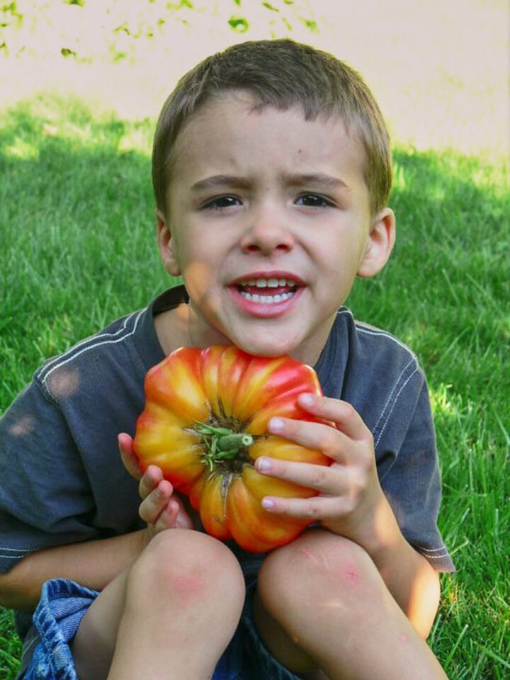 a young boy sitting outside on the grass, holding a large bicolor heirloom tomato