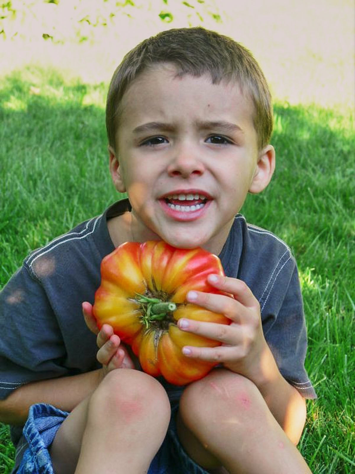 a young boy sitting outside on the grass, holding a large bicolor heirloom tomato