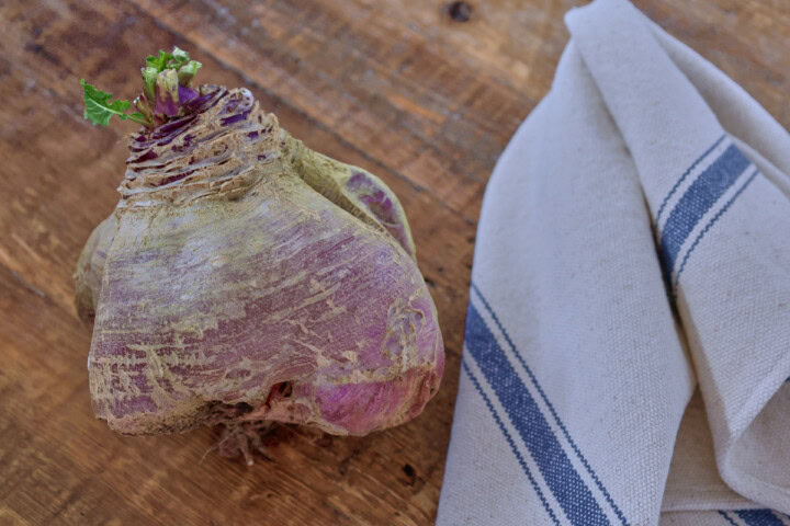 a freshly-picked marian rutabaga on a table next to a kitchen towel