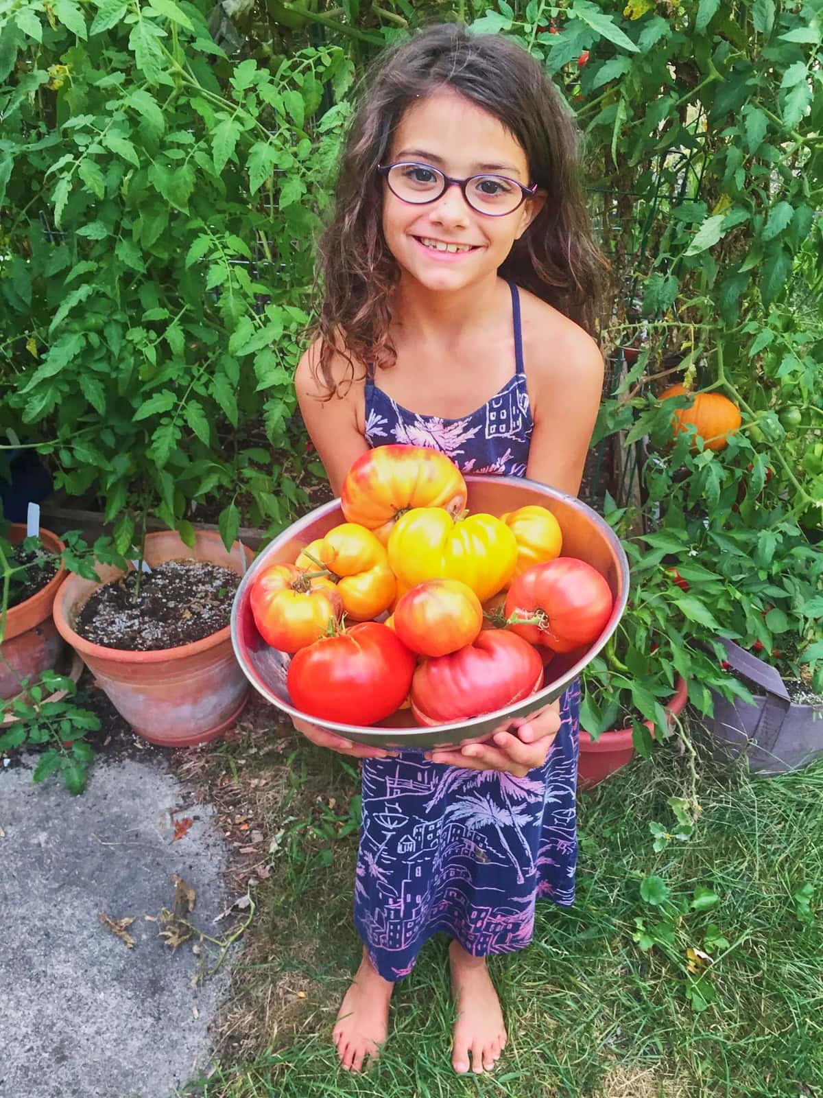 a young girl standing in front of raised bed gardens, holding a large bowl of freshly-picked heirloom tomatoes