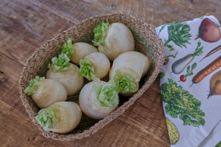 freshly picked miyama turnips in a basket with a kitchen towel alongside