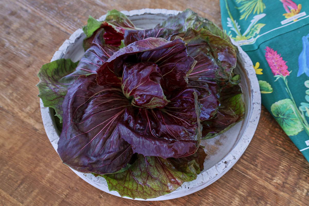 freshly-picked radicchio in a wooden tray with a garden apron alongside