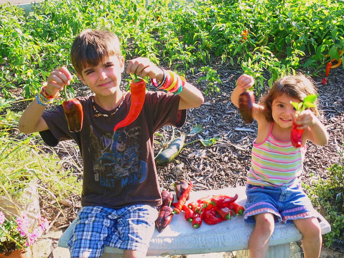 a girl and a boy sitting on a bench and holding up freshly-picked peppers